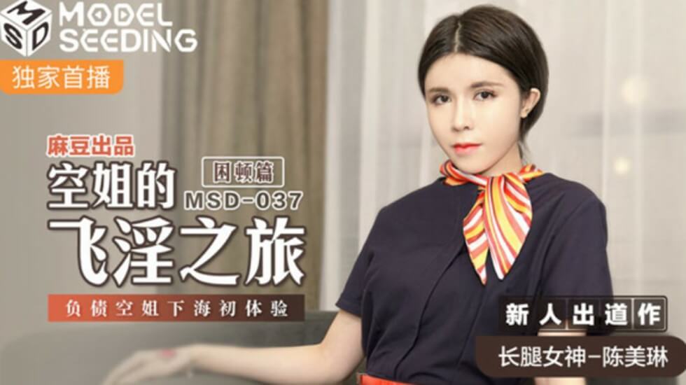 【陈美琳】真空上阵的制服诱惑!负债空姐被迫下海肉偿高额债务 痴女航班内裤湿透的初体验